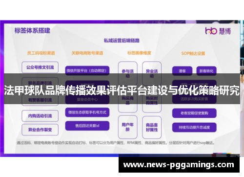 法甲球队品牌传播效果评估平台建设与优化策略研究