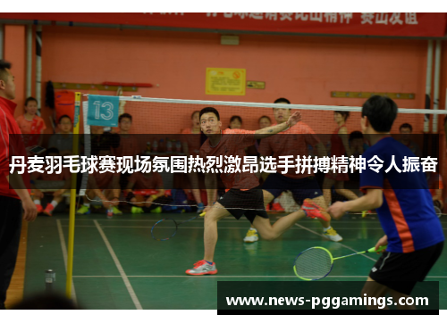 丹麦羽毛球赛现场氛围热烈激昂选手拼搏精神令人振奋