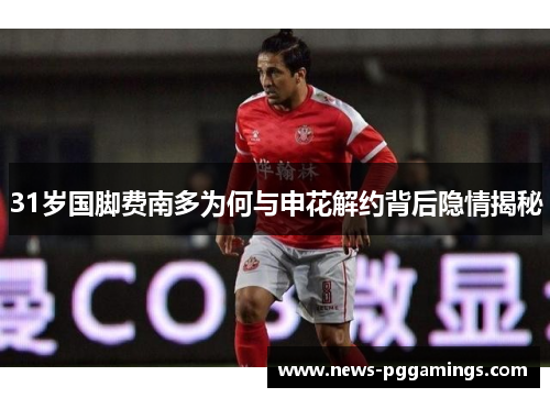 31岁国脚费南多为何与申花解约背后隐情揭秘
