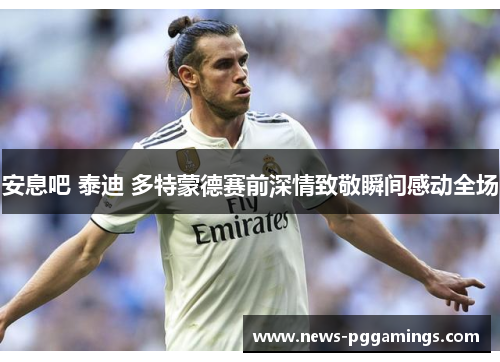 安息吧 泰迪 多特蒙德赛前深情致敬瞬间感动全场