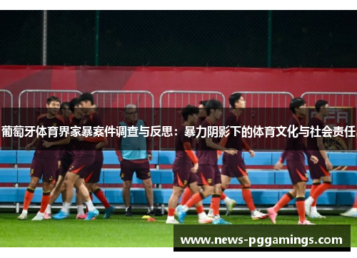 葡萄牙体育界家暴案件调查与反思：暴力阴影下的体育文化与社会责任